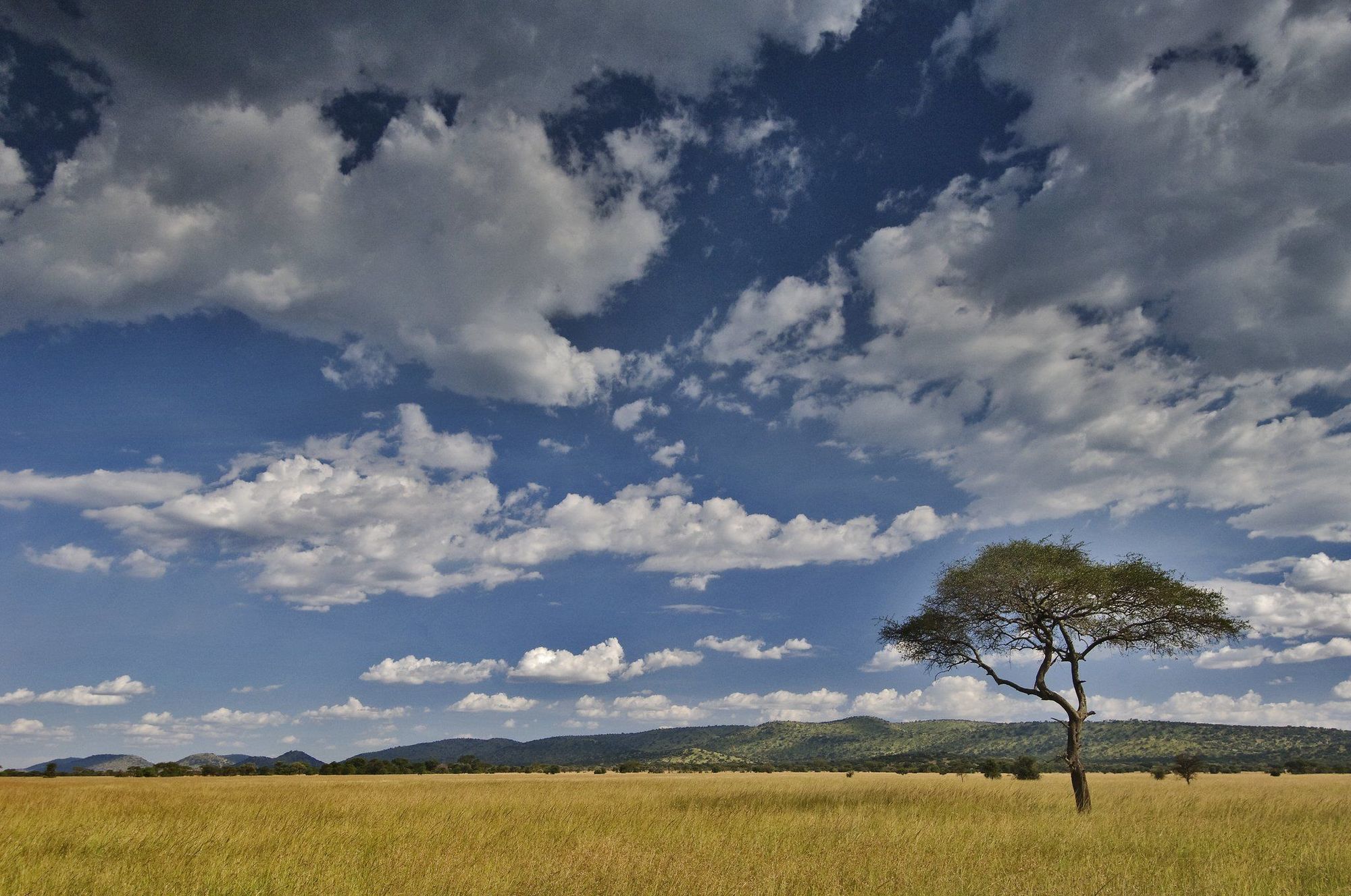 Kirawira Serena Camp Robanda ภายนอก รูปภาพ