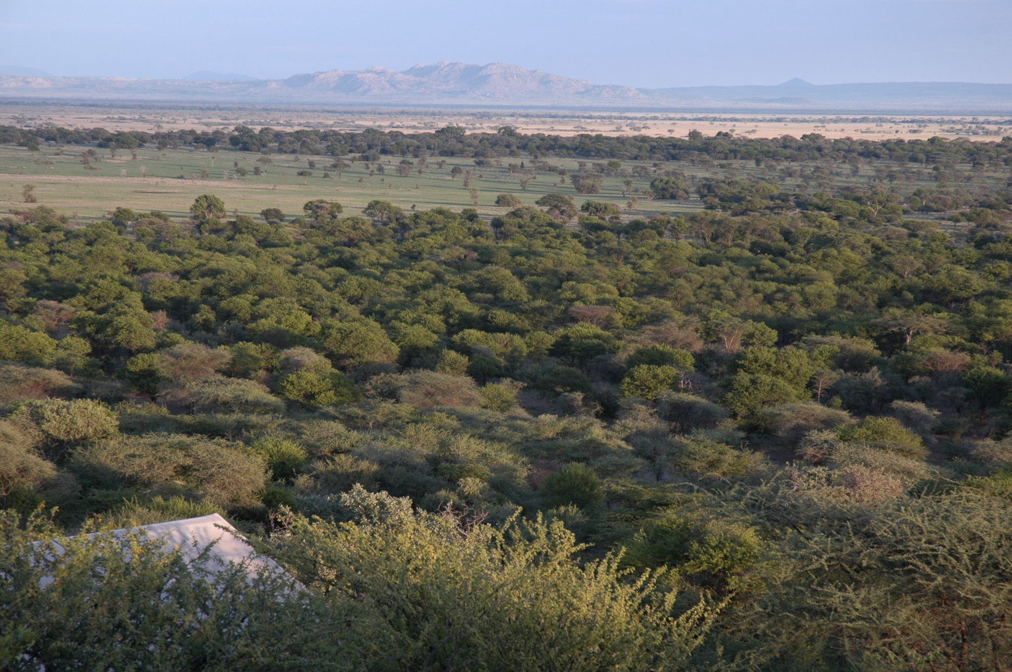 Kirawira Serena Camp Robanda ภายนอก รูปภาพ